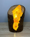 Crystal Lamp - Honey Calcite - M